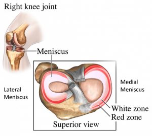 meniscus zones